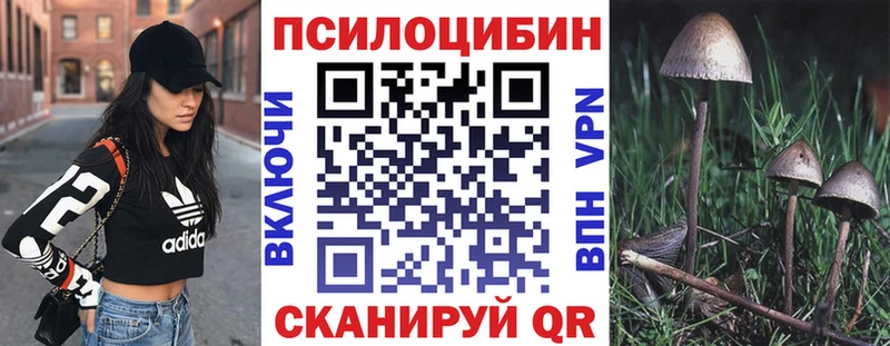 где купить наркоту  Лукоянов  Галлюциногенные грибы Psilocybe 