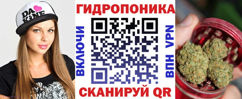 хочу наркоту  Лукоянов  Бошки марихуана индика 